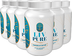 6 BOTTLES LivPure Package